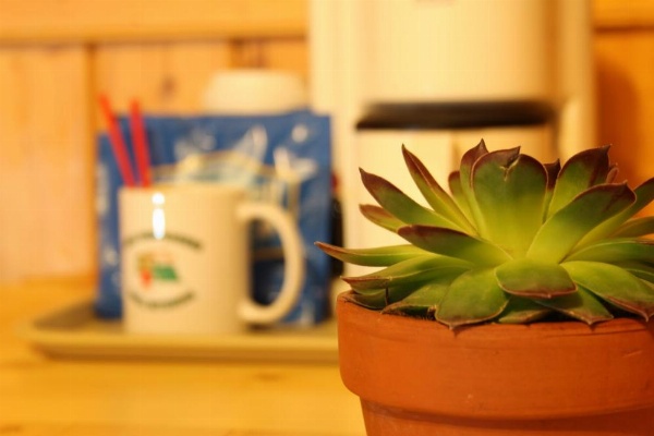 Shell Campground image 29